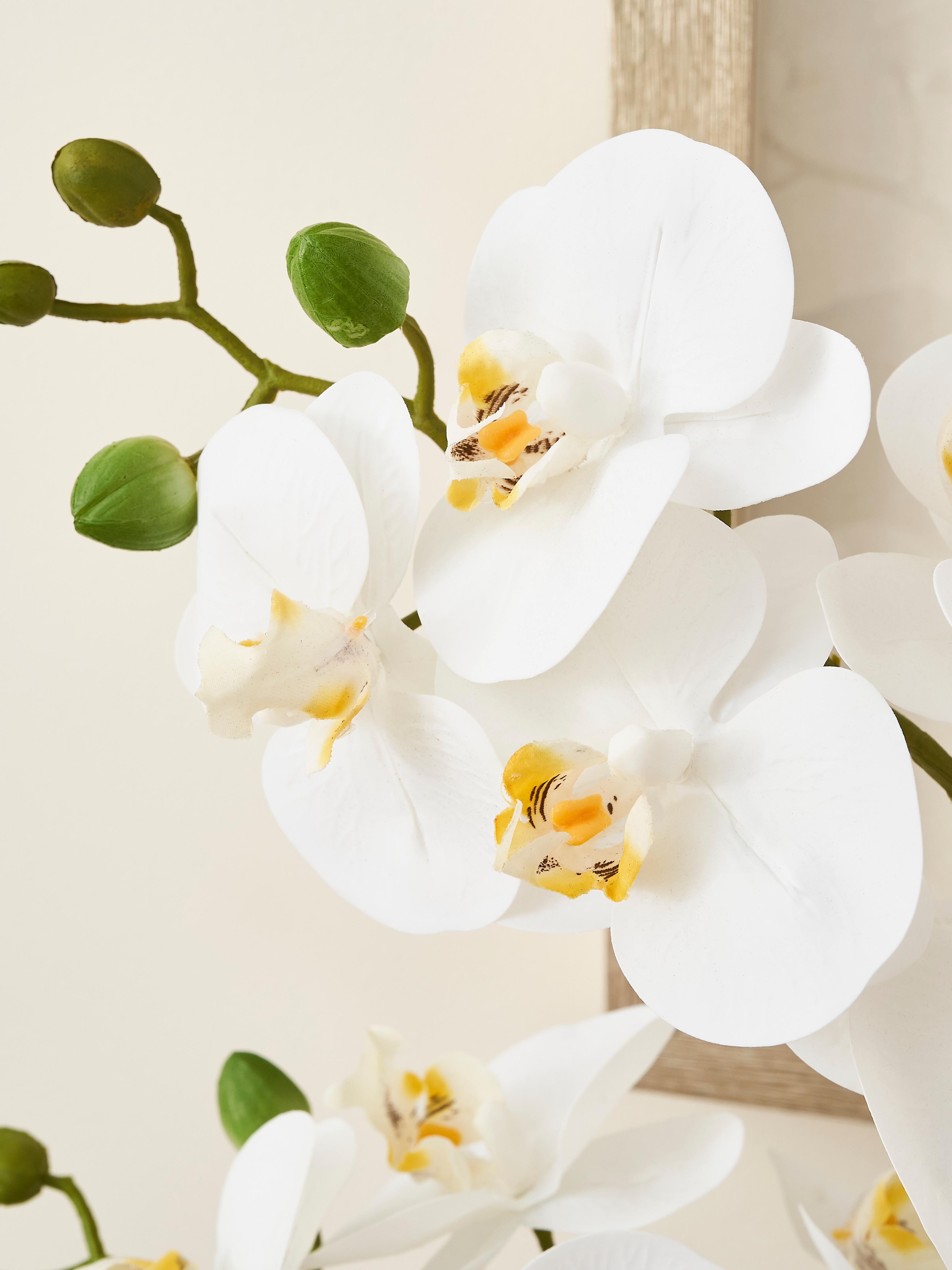 Artificial Plants & Furniture: Creating A Green Home