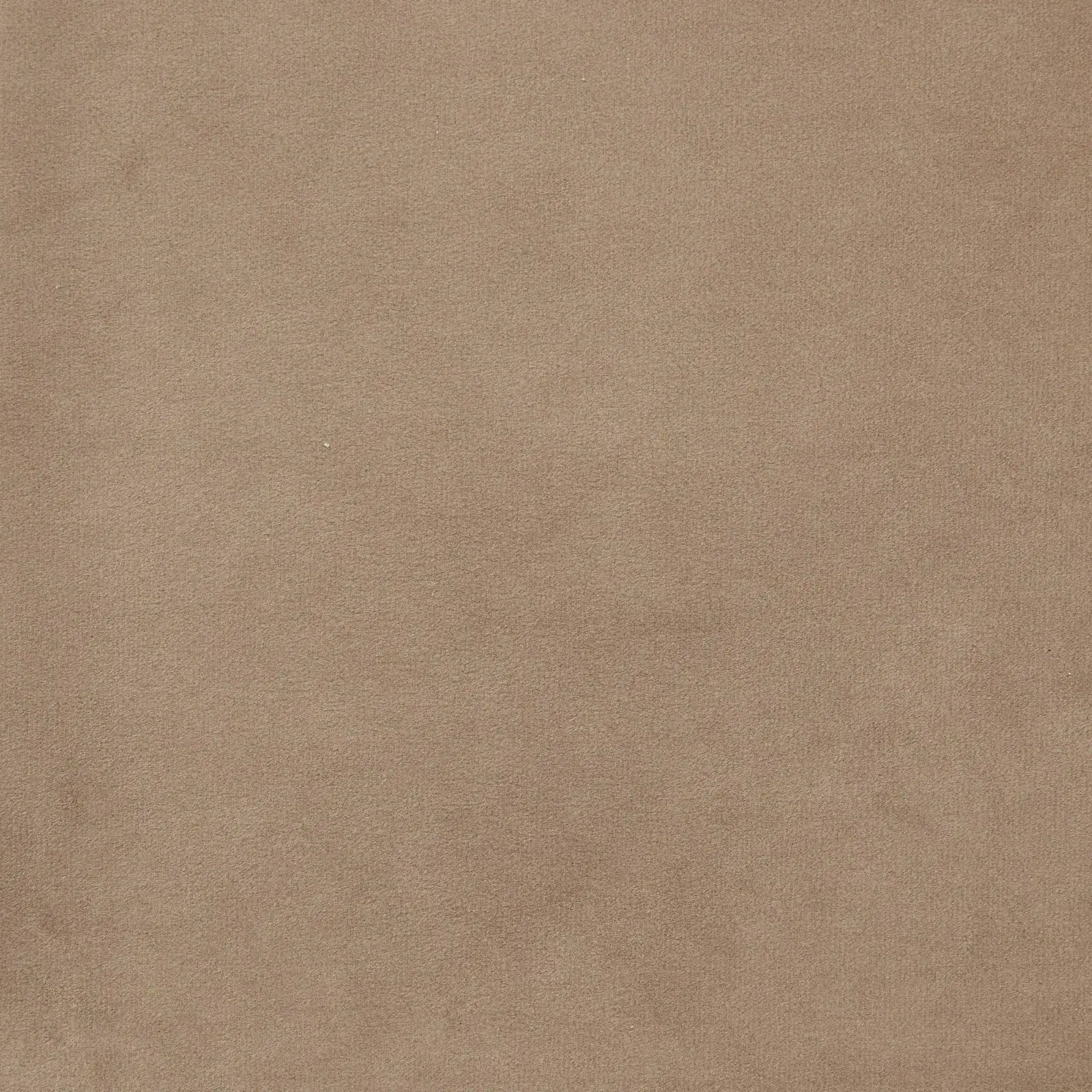 Remi Beige Velvet Cushion