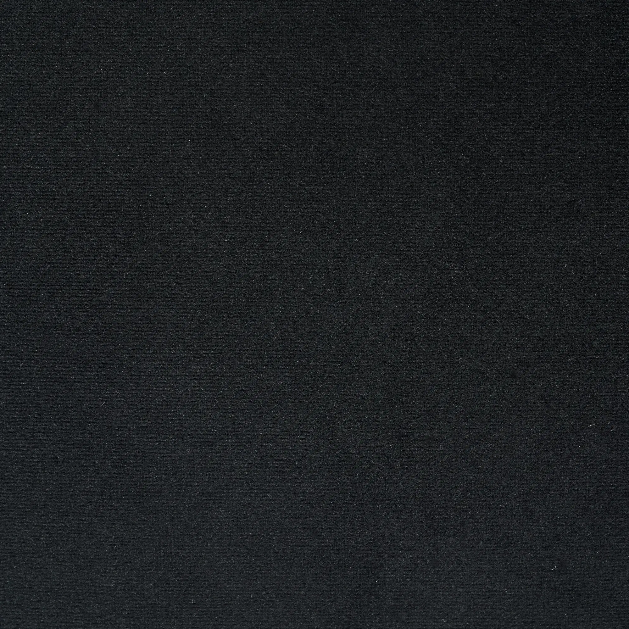 Roosevelt Black Velvet Occasional Chair