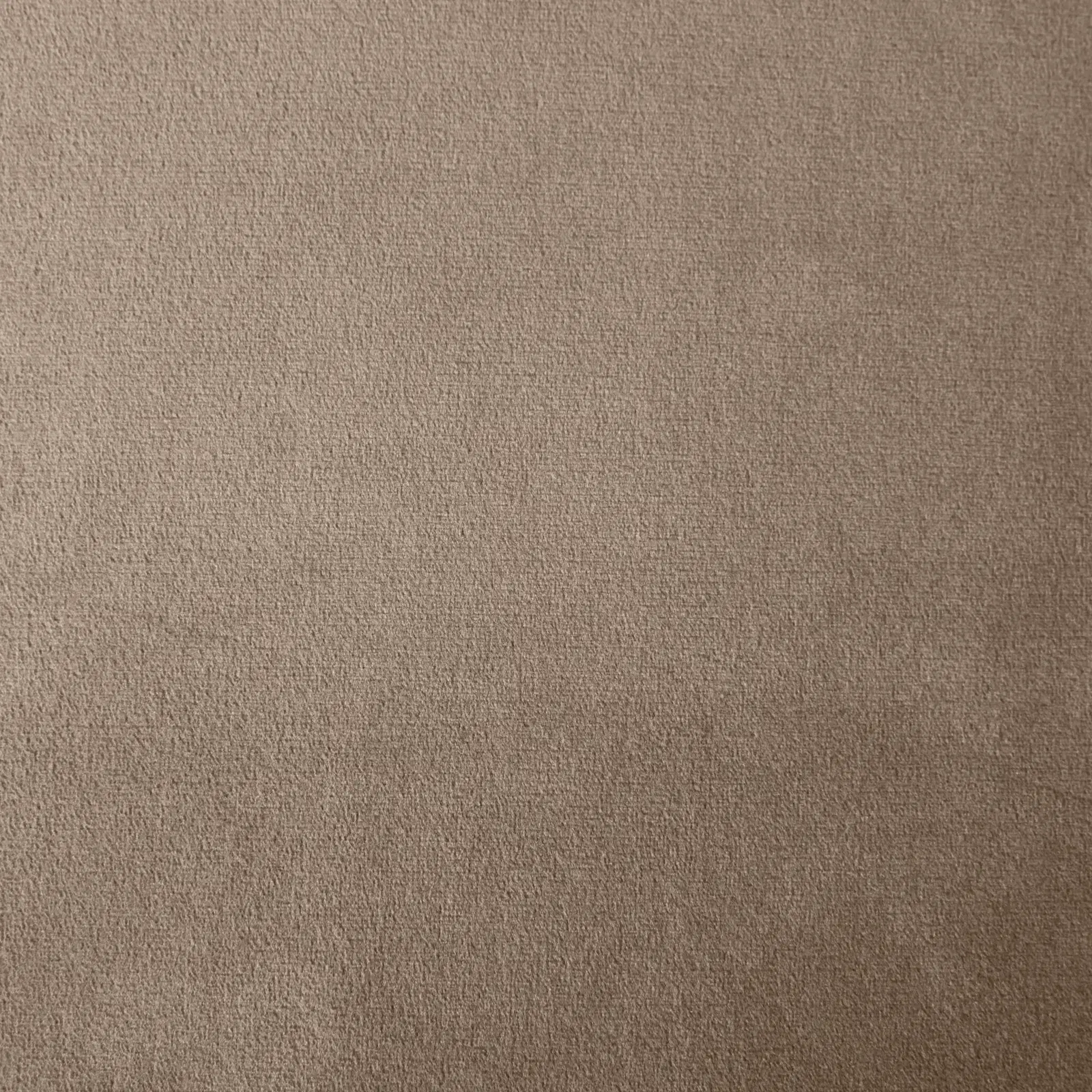 Jacques Beige Velvet King Bed-Brushed Champagne Gold Frame