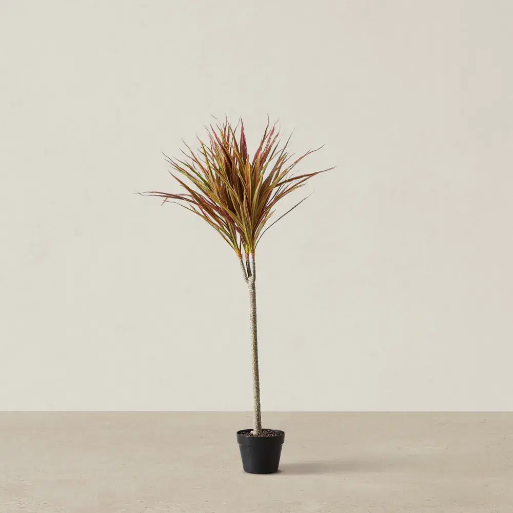 130cm Marginata Red Dracaena Decorative Plant With Pot