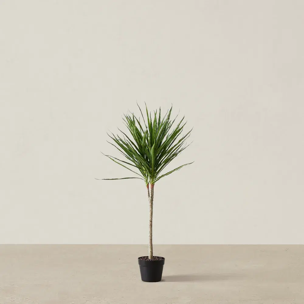 95cm Marginata Green Dracaena Decorative Plant With Pot