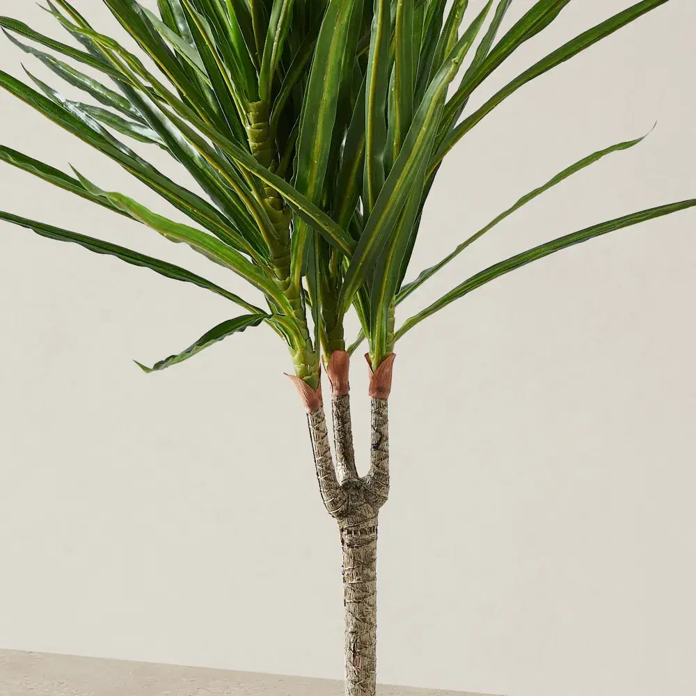 95cm Marginata Green Dracaena Decorative Plant With Pot