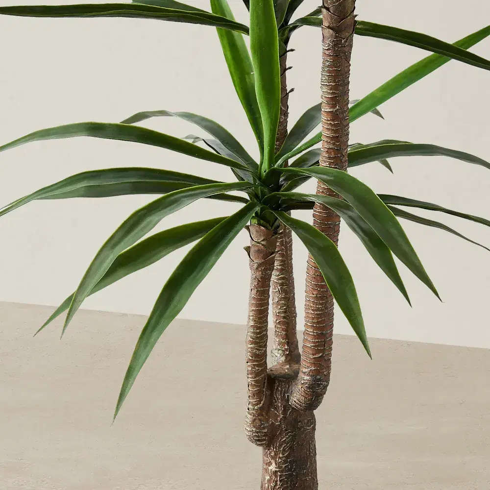 180cm Yucca Decorative Plant with Pot