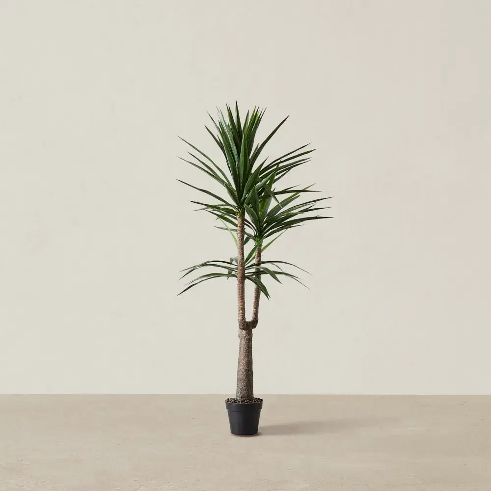 180cm Yucca Decorative Plant with Pot