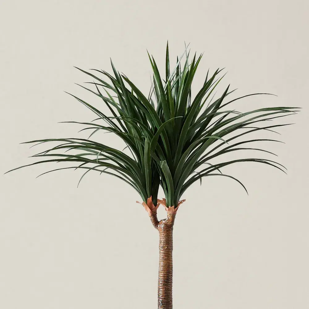 125cm Nolina Recurvata Decorative Plant With Pot