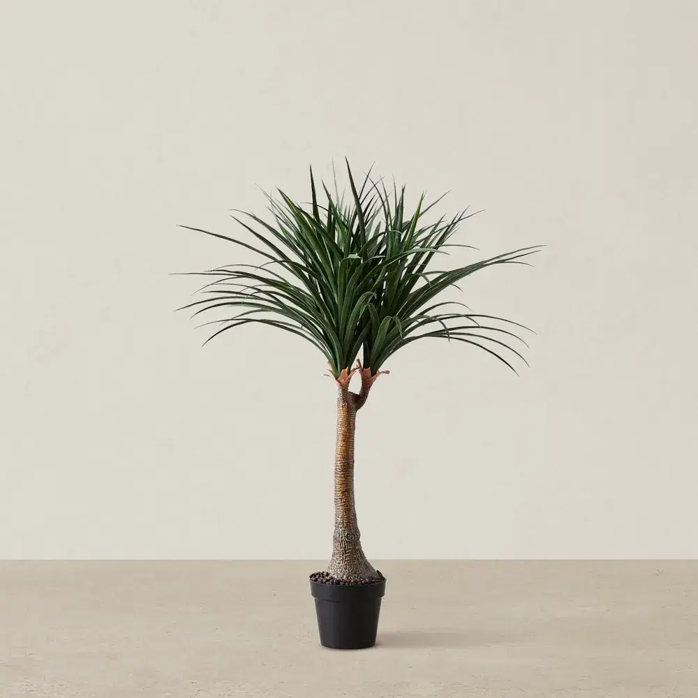 125cm Nolina Recurvata Decorative Plant With Pot