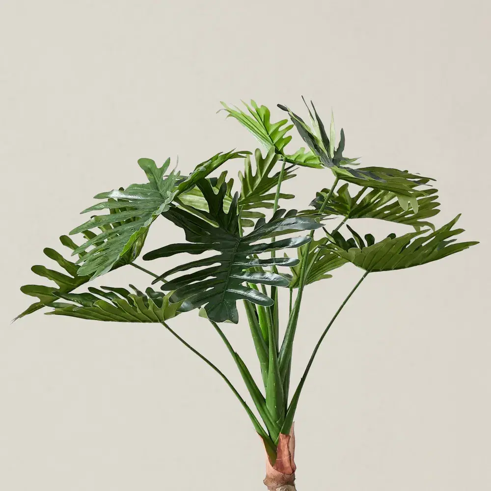 120cm Philodendron Decorative With Plot