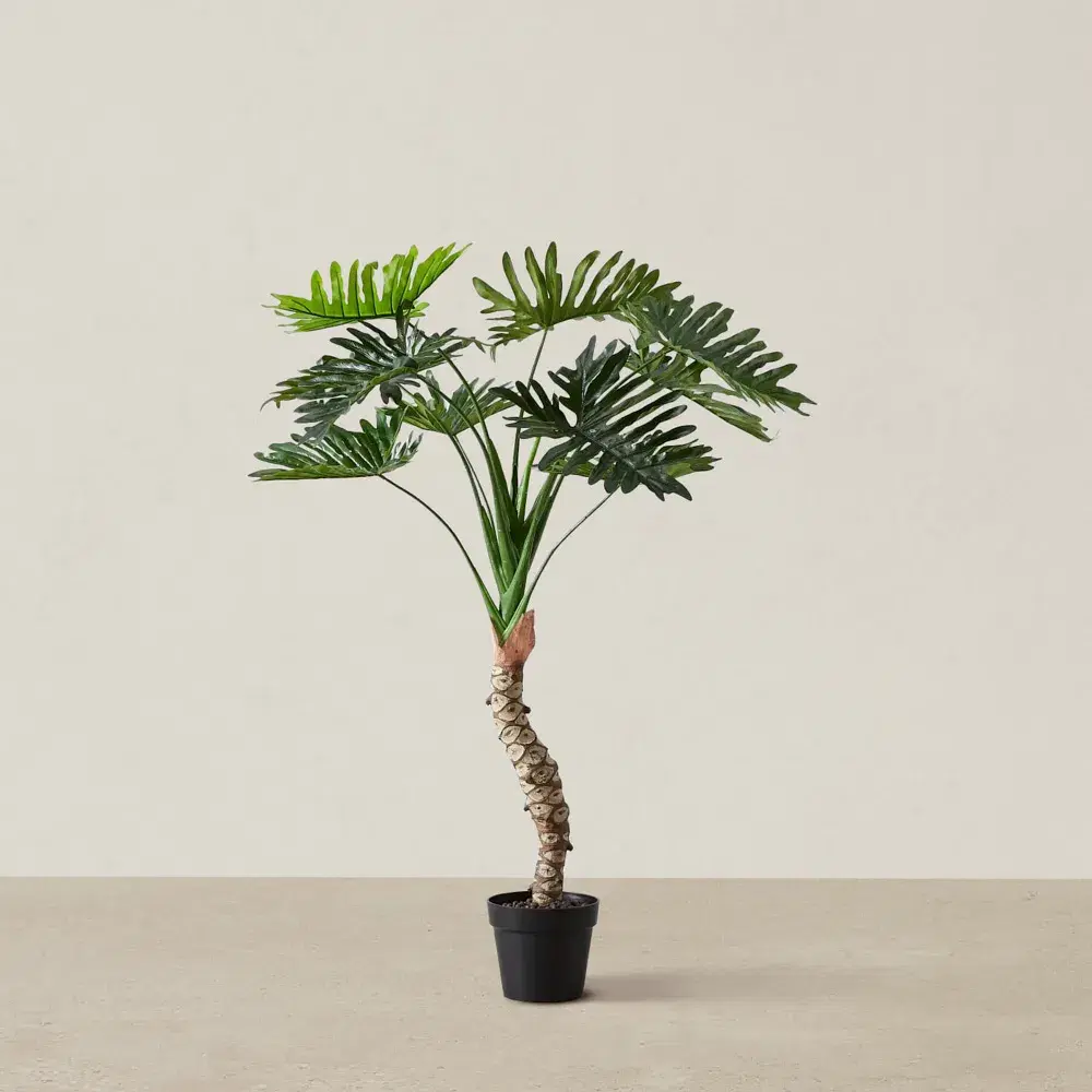 120cm Philodendron Decorative With Plot