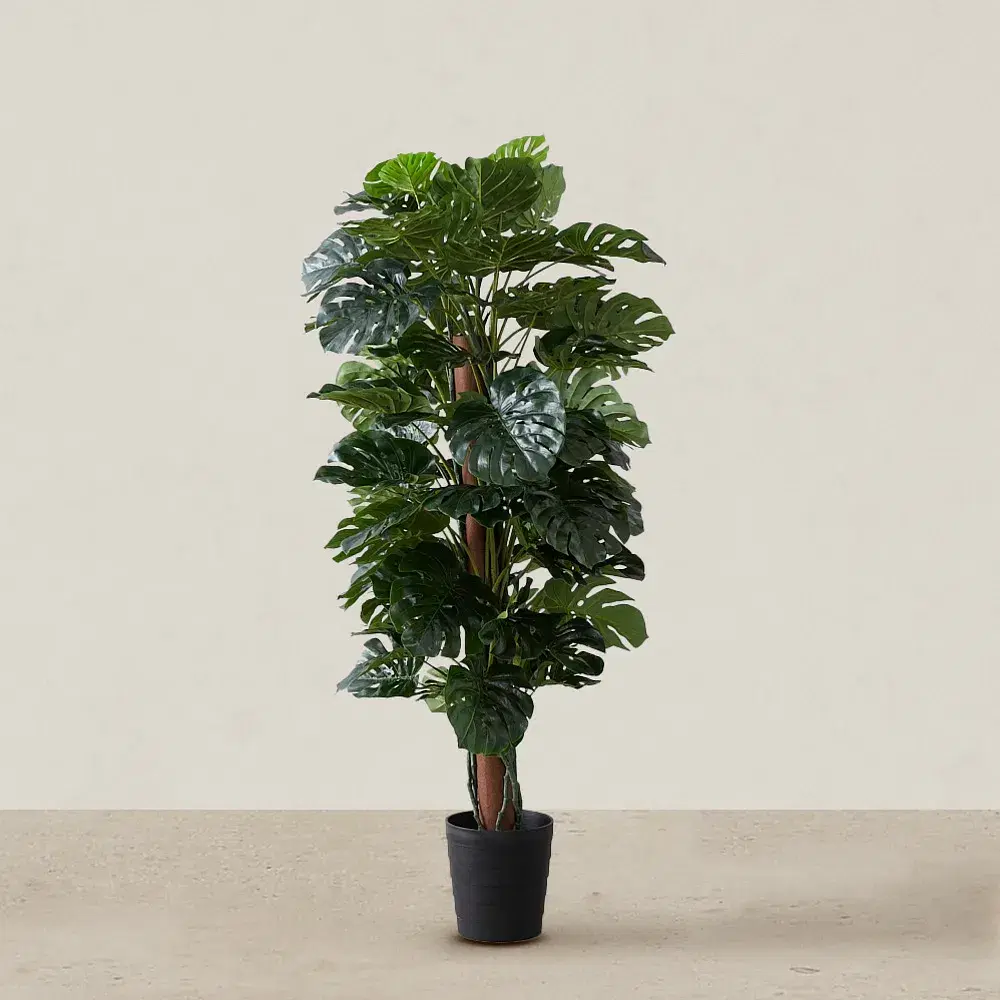 Monstera II 180cm Decorative Plant