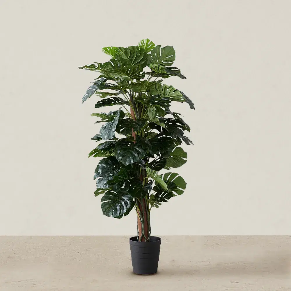 Monstera II 180cm Decorative Plant