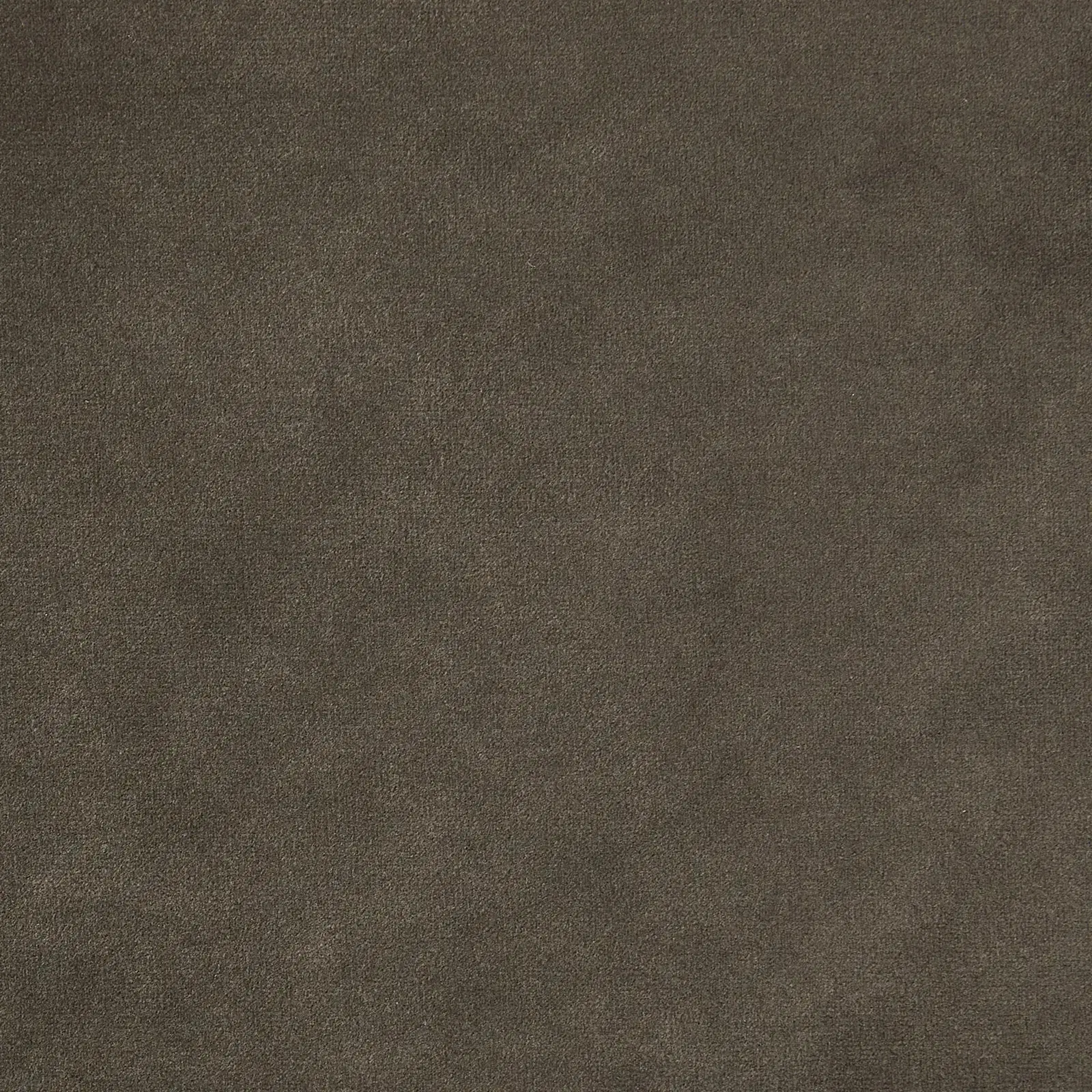 Stellan Mushroom Velvet Occasional Chair - Mushroom Velvet Arms