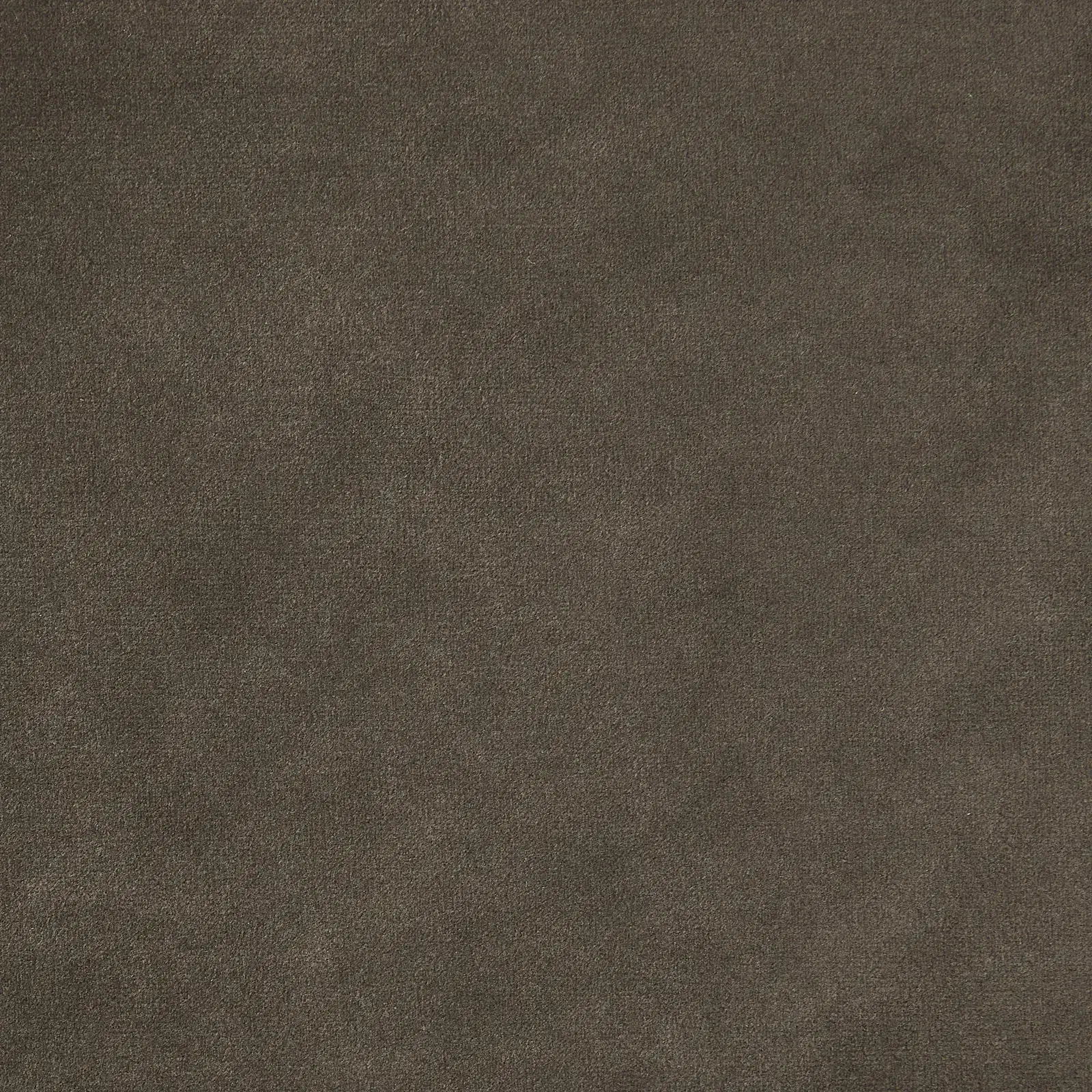 Daniella Mushroom Velvet Occasional Chair