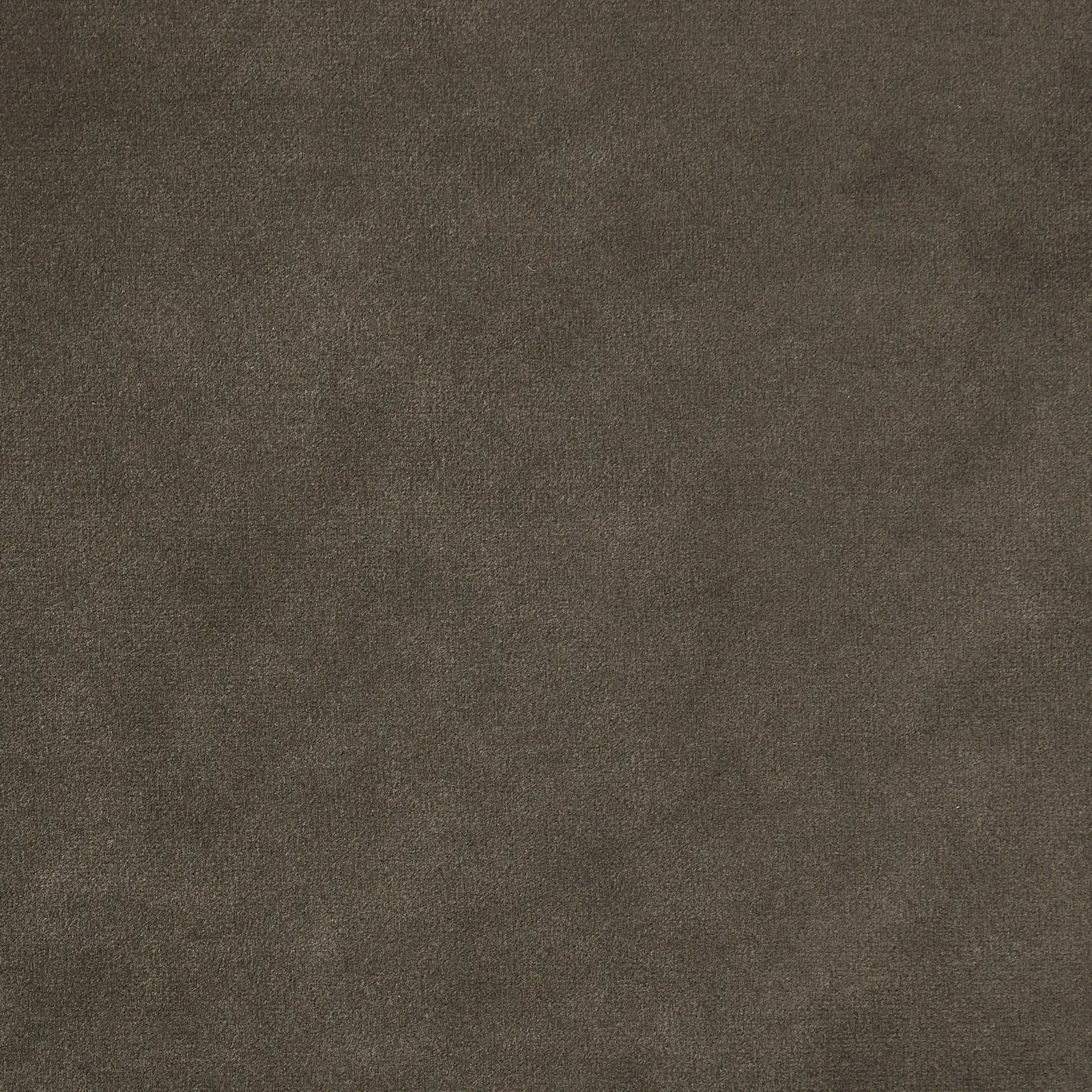 Gertrude Mushroom Velvet Queen Bed - Brushed Champagne Gold Stainless Steel Frame